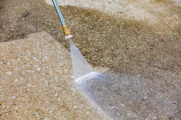 Best Animal Enclosure Cleaning  in Van Vleck, TX